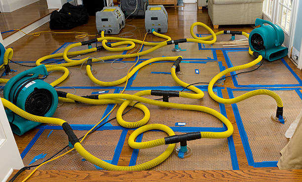 Professional Basement Flood Cleanup technician working in Highland Lakes, NJ